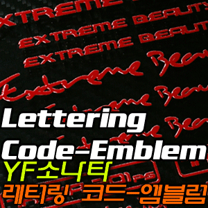 [EXOS] YF소나타 레터링 코드-엠블럼